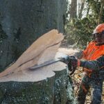 STIHL MS 661 C-M, RH, 71 cm – Modell 2025 – Bild 5