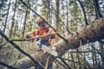 Husqvarna 560 XP® G Mark II / 40 – Bild 6