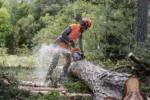 Husqvarna 550 XP® Mark II (18″) – X-Torq – Bild 6