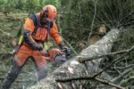 Husqvarna 550 XP® G Mark II – X-Torq – Bild 5