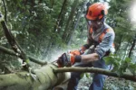 Husqvarna 555 / 45 – X-Torq – Bild 4