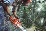 Husqvarna 555 / 45 – X-Torq – Bild 3