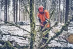 Husqvarna 560 XP® G Mark II / 45 – Bild 5