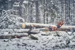 Husqvarna 560 XP® G Mark II / 45 – Bild 3