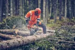 Husqvarna 560 XP® Mark II / 38 – X-Torq – Bild 6