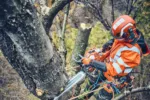 Husqvarna 560 XP® Mark II / 38 – X-Torq – Bild 4