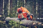 Husqvarna 560 XP® Mark II / 38 – X-Torq – Bild 2