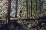 Husqvarna 572 XP / 45 – X-Torq – Bild 6