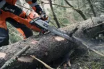Husqvarna 572 XP G / 50 – X-Torq – Bild 4