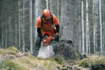 Husqvarna 572 XP G / 50 – X-Torq – Bild 3