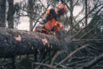 Husqvarna 592 XP® / 90 – X-Torq – Bild 5