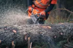 Husqvarna 592 XP® / 90 – X-Torq – Bild 3